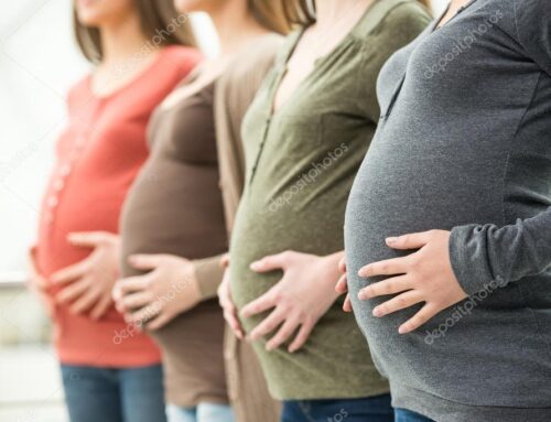 How is the well-being of a surrogate mother ensured during a surrogacy process?